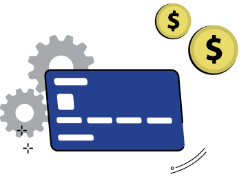 visa settings coins