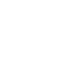 shield icon